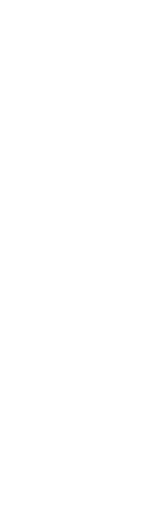 Logo Wasserzeichen
